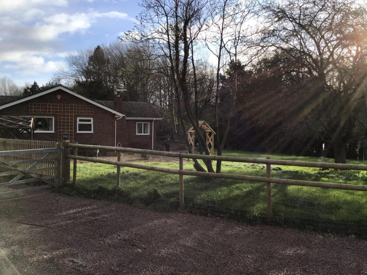 Meerkat Manor B&B Colwall Exteriör bild